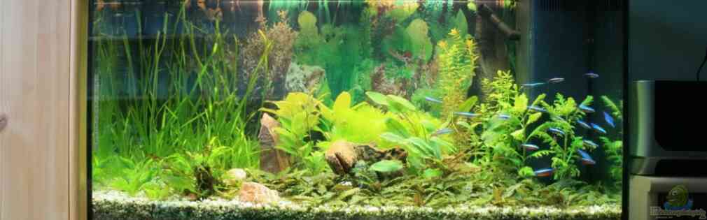 Exemple Nombre 15621