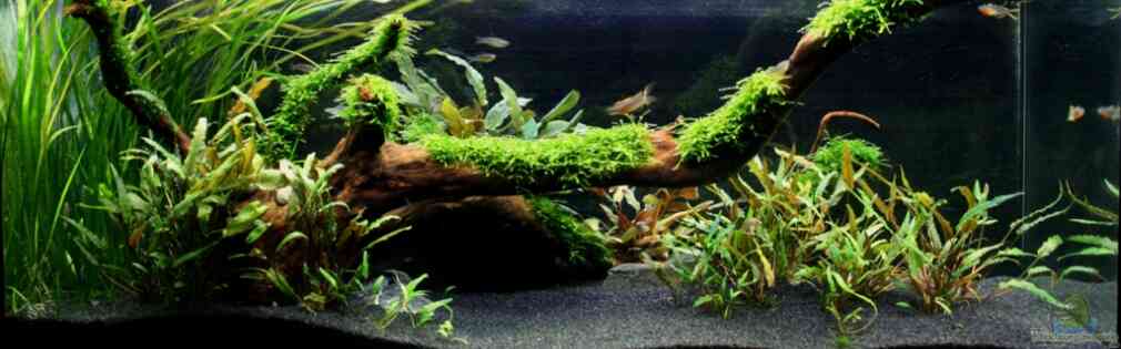 Exemple Nombre 15659