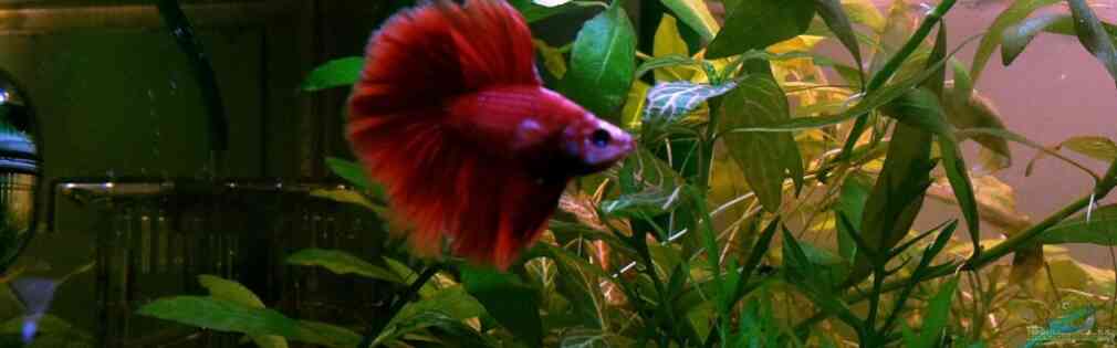 Exemple Nombre 15912