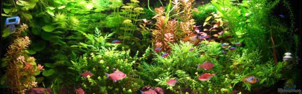 Exemple Nombre 16086