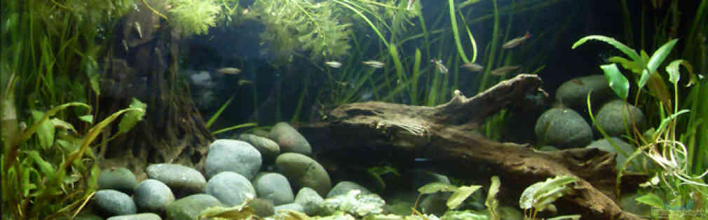 Exemple Nombre 16316