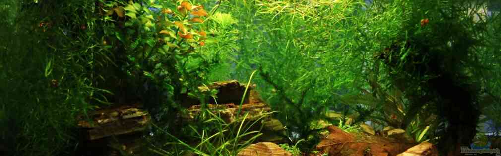 Exemple Nombre 16442