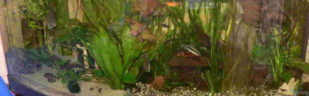 Exemple Nombre 16633