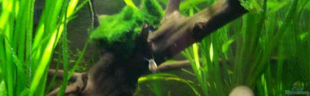 Exemple Nombre 16686