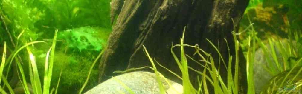 Exemple Nombre 16755