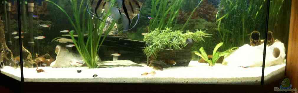 Exemple Nombre 16827