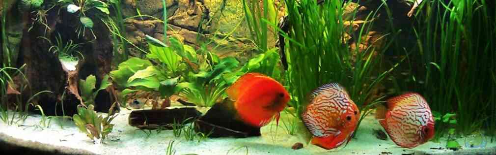 Exemple Nombre 16842