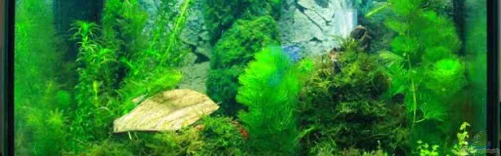 Exemple Nombre 16892