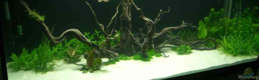 Exemple Nombre 16895