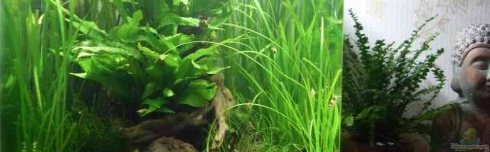 Exemple Nombre 16989