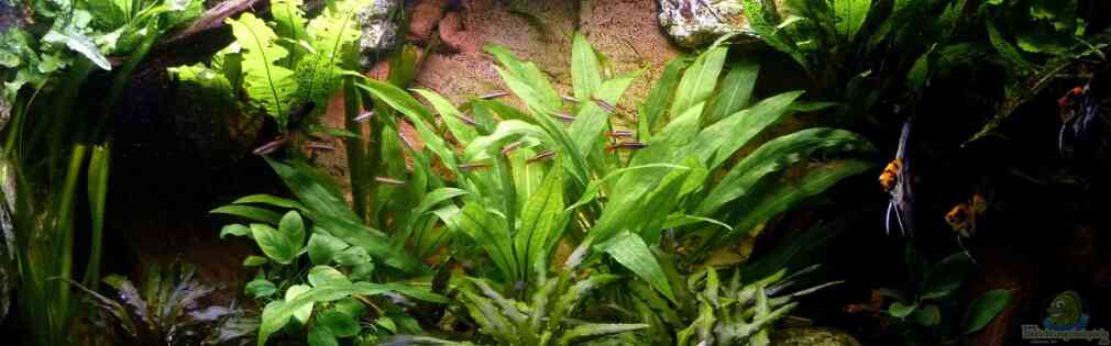 Exemple Nombre 17311