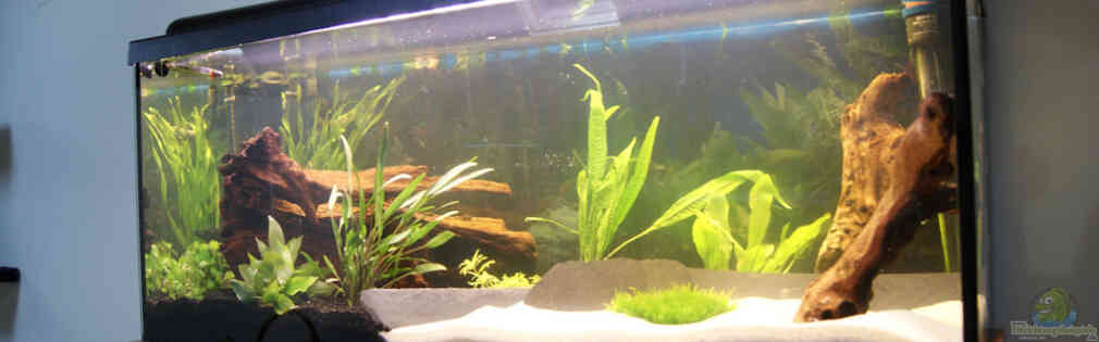 Exemple Nombre 17728