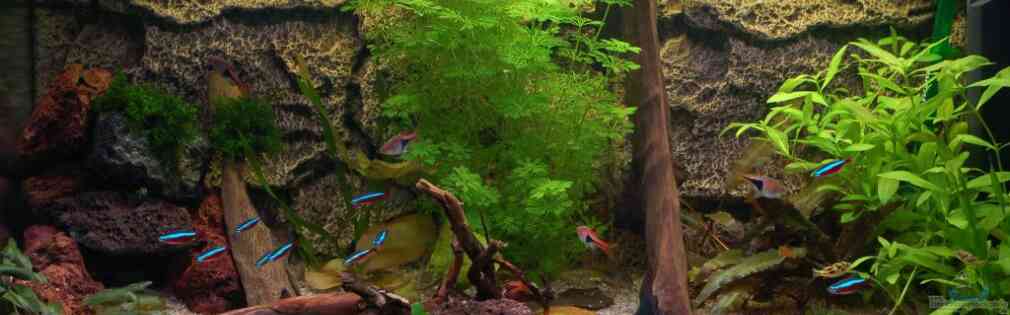 Exemple Nombre 17813