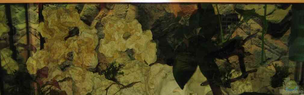 Example No 17992