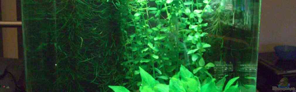 Exemple Nombre 18652