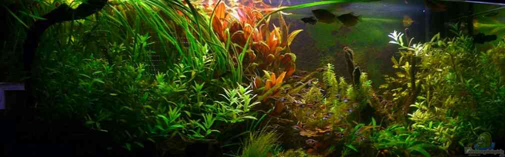 Exemple Nombre 18804