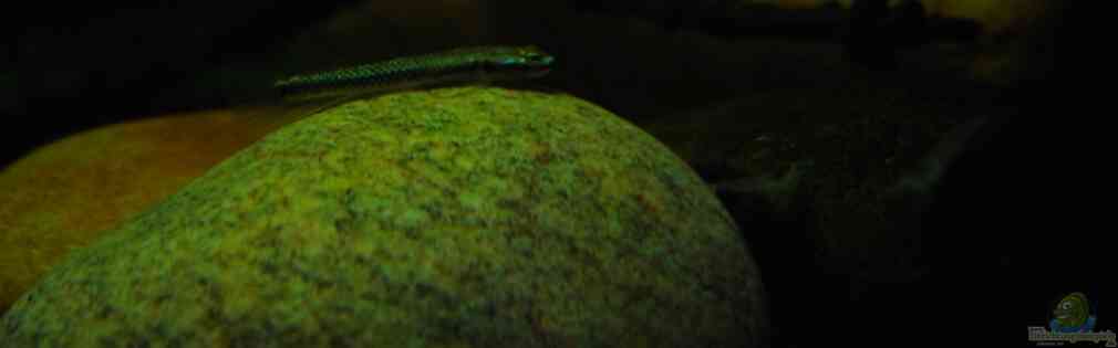 Exemple Nombre 18824