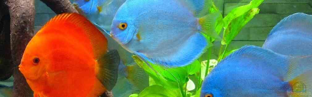 Exemple Nombre 18957