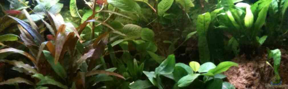 Exemple Nombre 19007