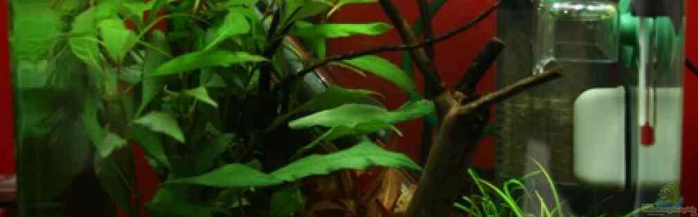 Exemple Nombre 19041