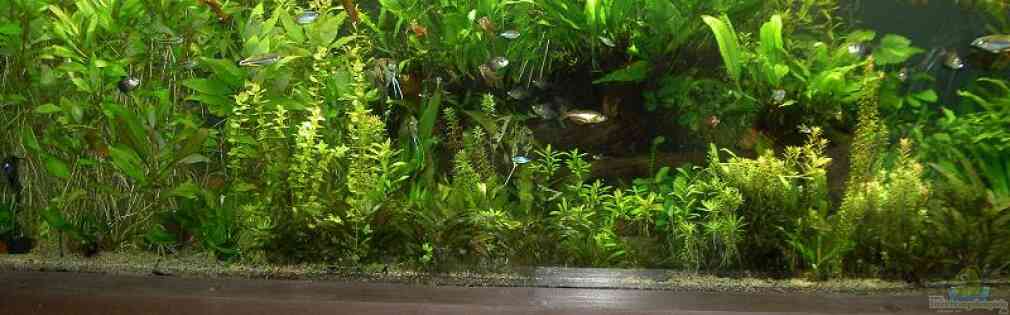 Exemple Nombre 19069