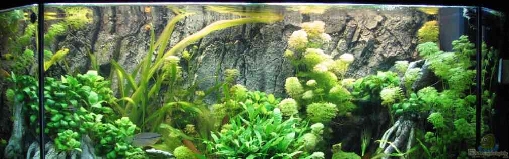 Exemple Nombre 19191