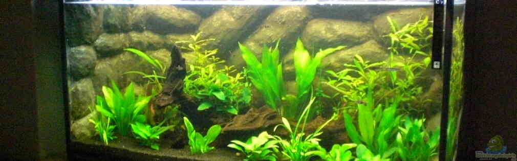 Exemple Nombre 19435