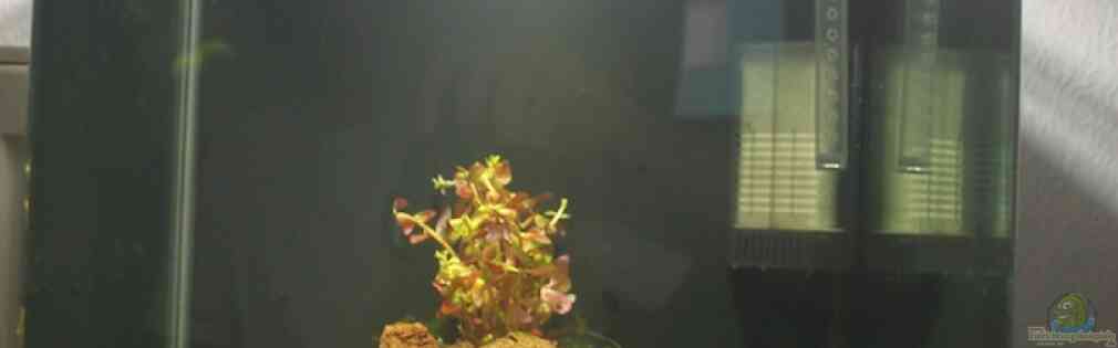 Exemple Nombre 19528