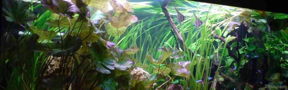 Exemple Nombre 19904