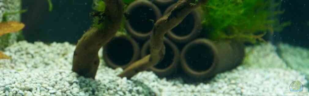 Exemple Nombre 20189