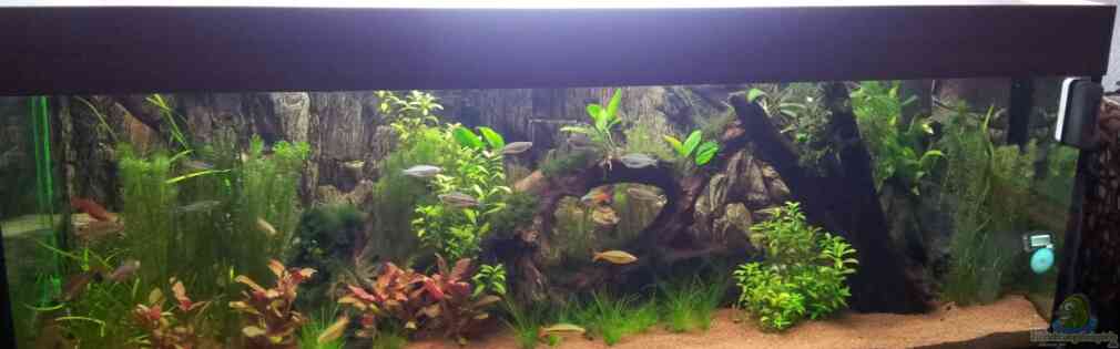 Exemple Nombre 22163