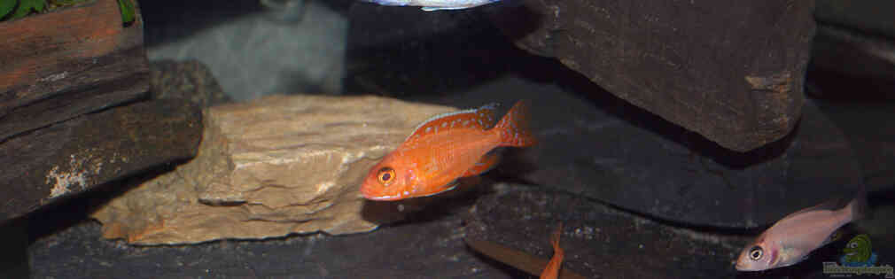 Exemple Nombre 22175