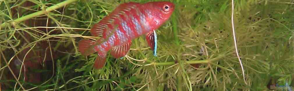 Exemple Nombre 22187