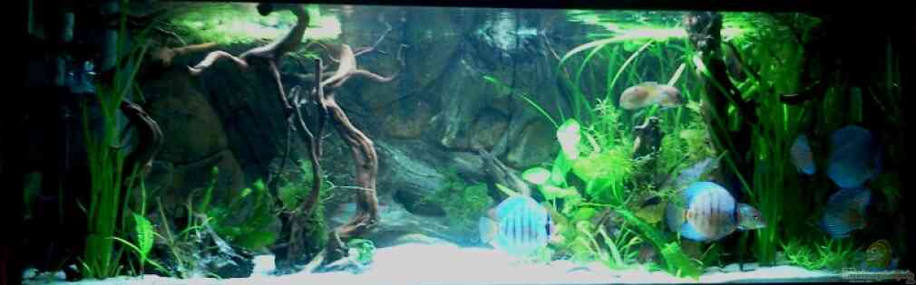 Exemple Nombre 22229