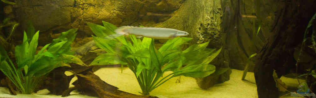 Exemple Nombre 22375