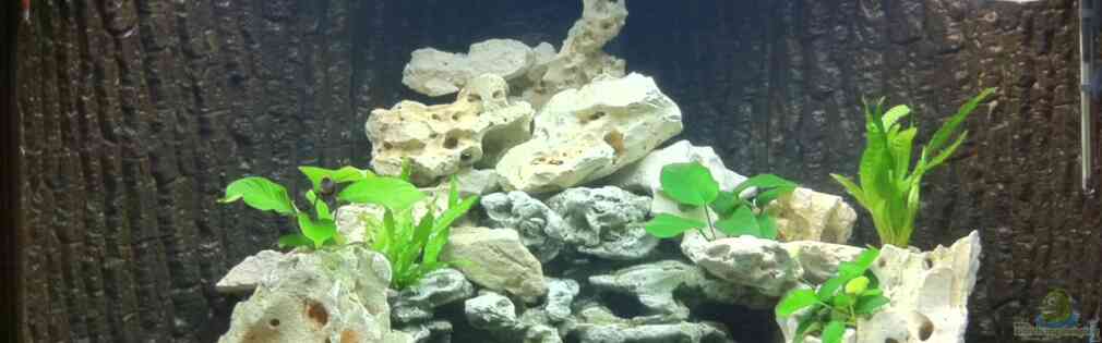 Exemple Nombre 22543