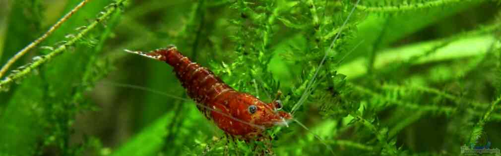 Exemple Nombre 22631