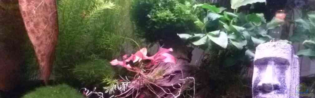 Exemple Nombre 22914