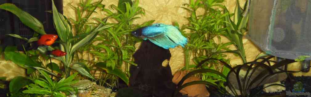 Exemple Nombre 23004