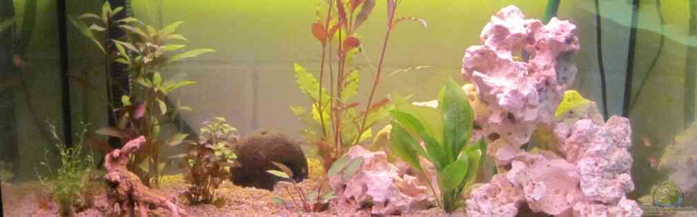 Exemple Nombre 23112