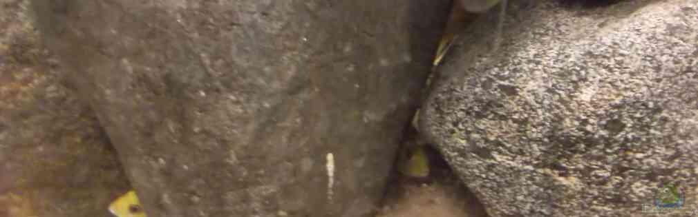 Exemple Nombre 23782