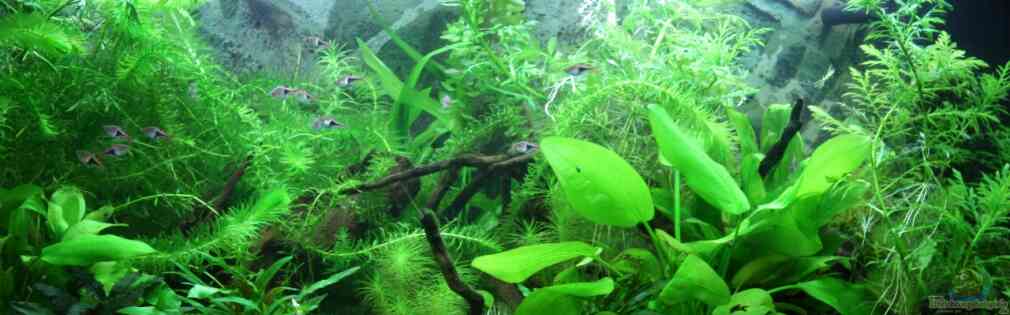 Exemple Nombre 24813