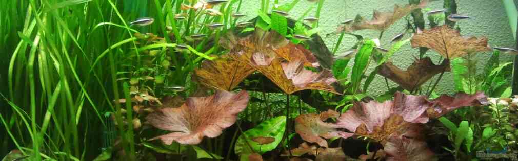 Exemple Nombre 25314