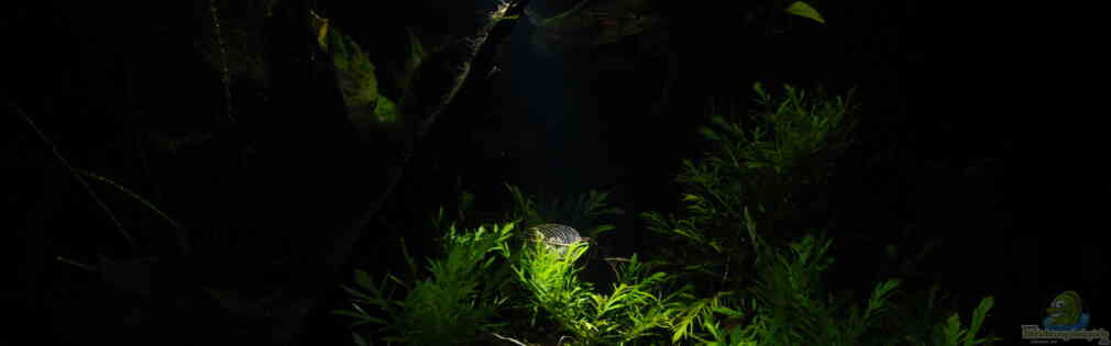 Exemple Nombre 25352