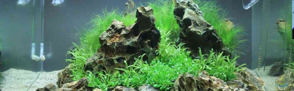 Exemple Nombre 25806