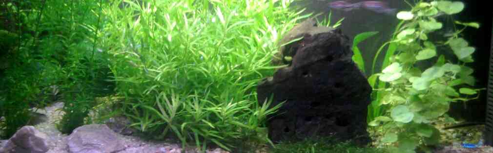 Exemple Nombre 26014