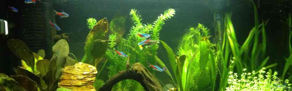 Exemple Nombre 27359