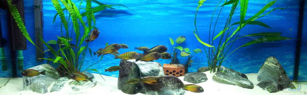 Exemple Nombre 27657