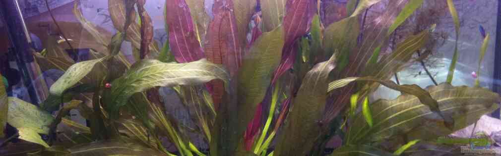 Exemple Nombre 27871