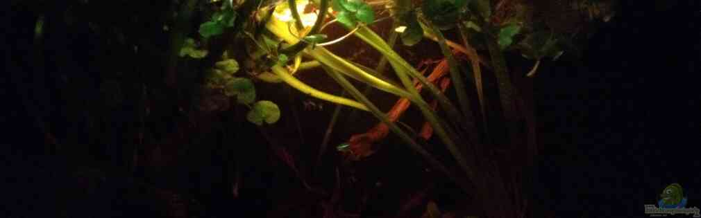 Exemple Nombre 28130